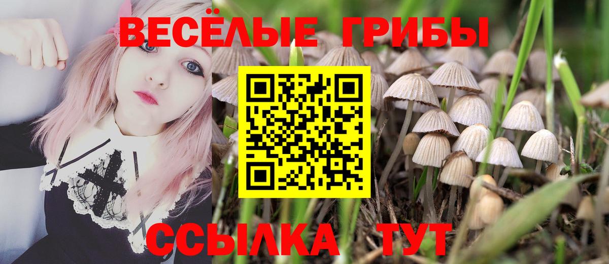 Псилоцибиновые грибы Magic Shrooms Кемерово